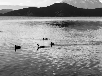 SlotoCash Casino Farsímaforrit